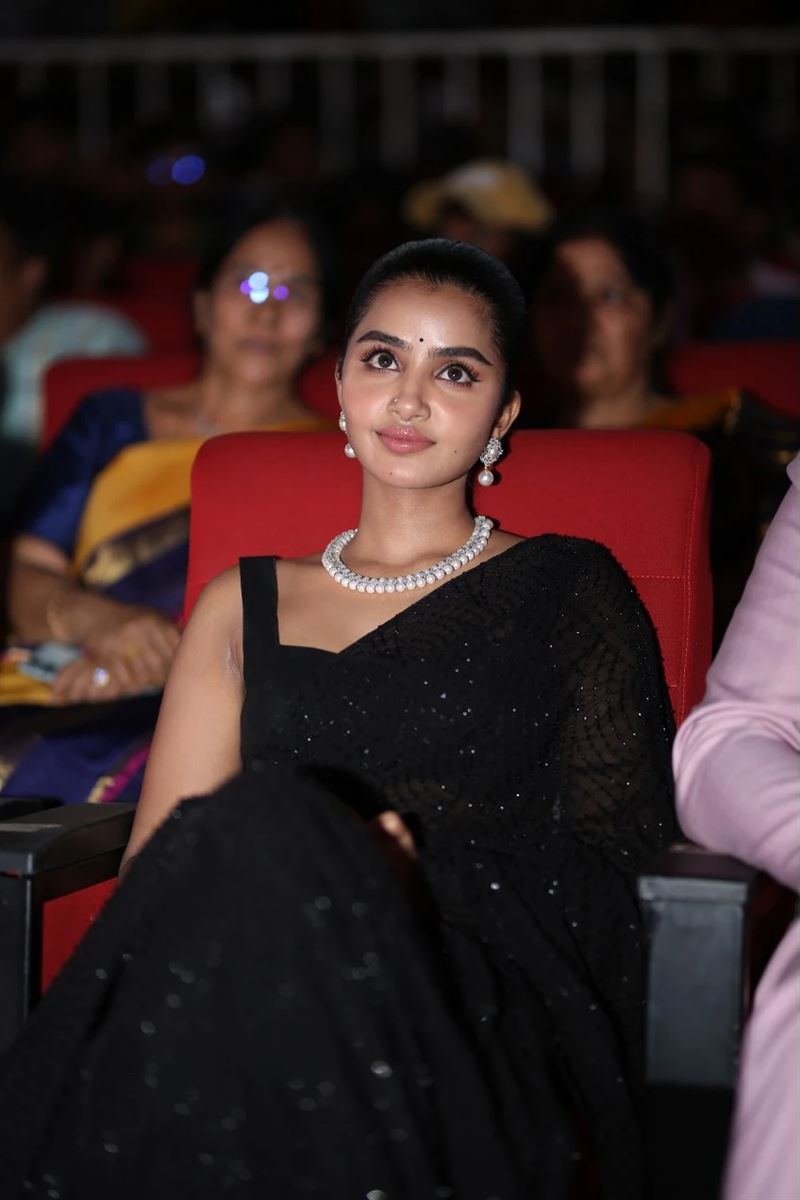 Anupama Parameswaran at Tillu Square Movie Celebrations12